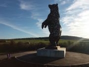 The Bear