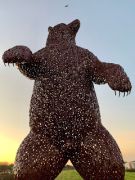 dunbar bear