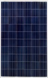 Canadian Solar 250w modules